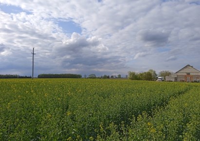 działka na sprzedaż - Koronowo (gw), Nowy Dwór